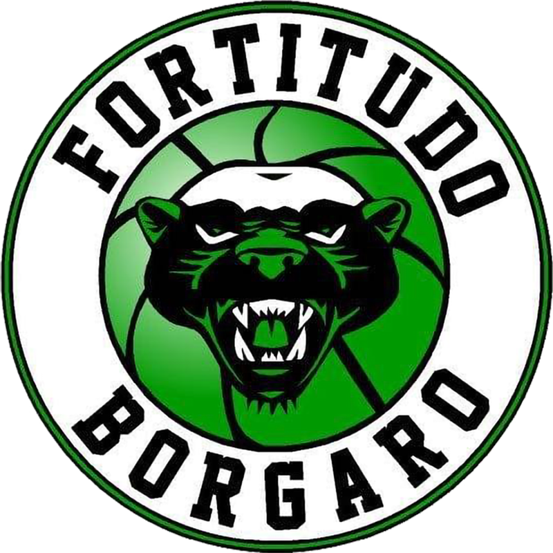 Fortitudo Borgaro Basket