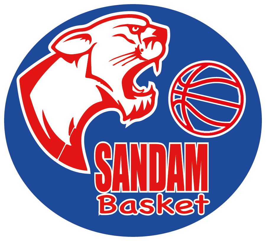 Sandam Basket